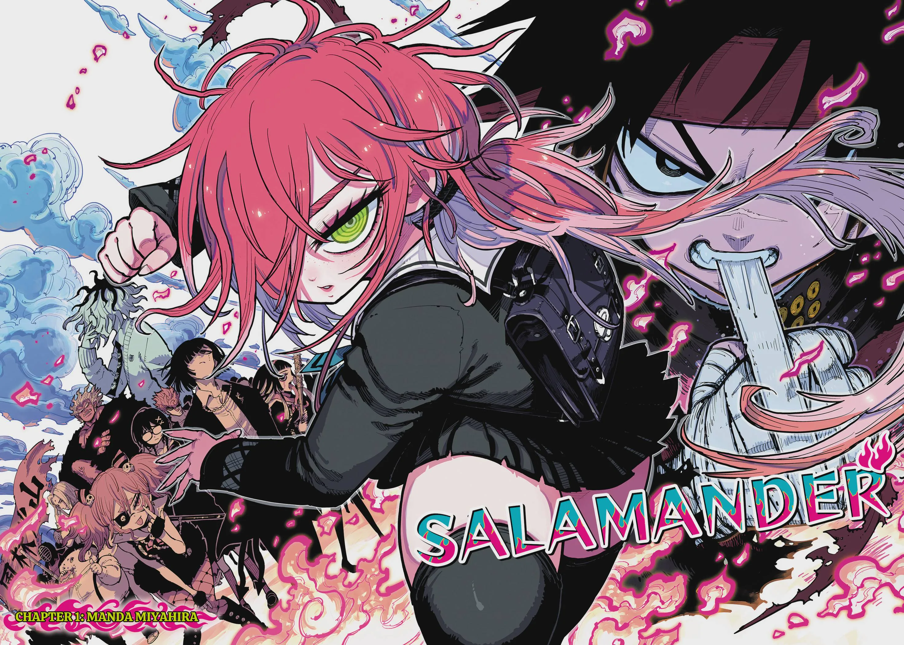 Salamander - 1 - image 2